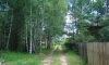 Земельный участок расположен в лесу в 200 метрах от берега реки Волга.  Хороший подъезд круглый год.  Газ