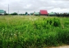 Продается земельный участок 18,  7 соток в деревне Романово вблизи города Струнино.  Участок ровный
